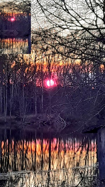 20220314_101827 nature _ woods _ lake _ sunset _ spring day _ dusk _ warm soothing colours _ shihouetts _ reflecting trees ..