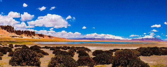 altiplano (on Explore, March 15)