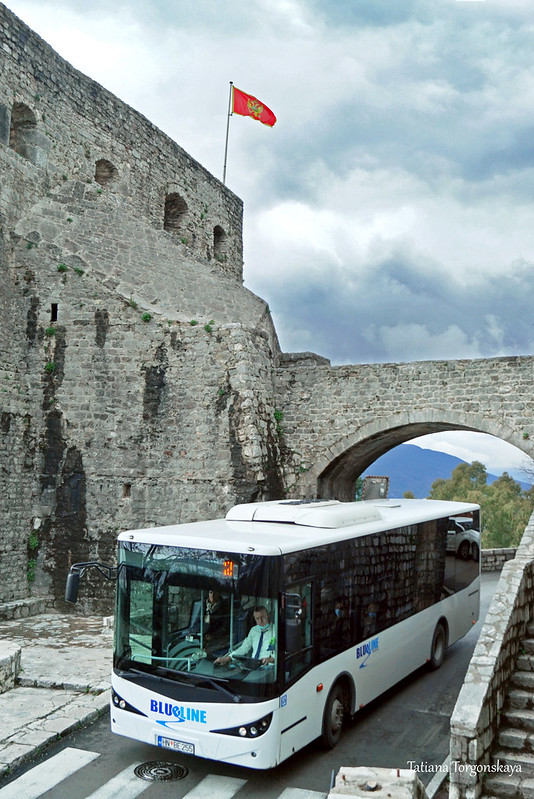 Автобус №2 в Херцег Нови