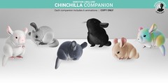 SEmotion Libellune Chinchilla Companion