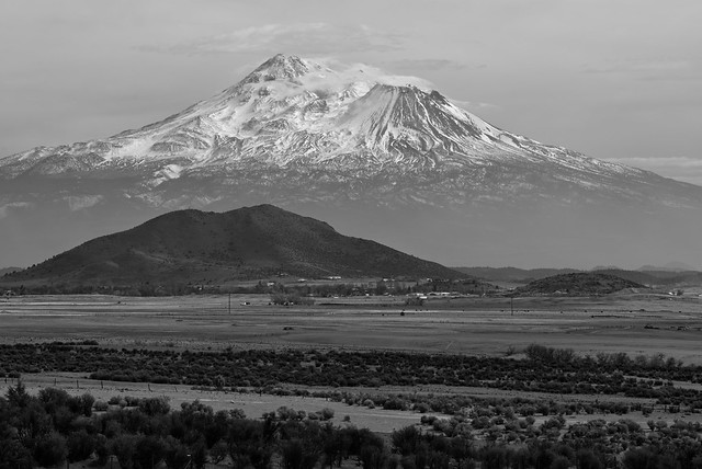 Mt Shasta Monochrome