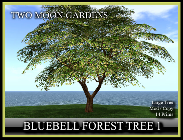 thumbnail_TMG – Bluebell Forest Tree 1_001