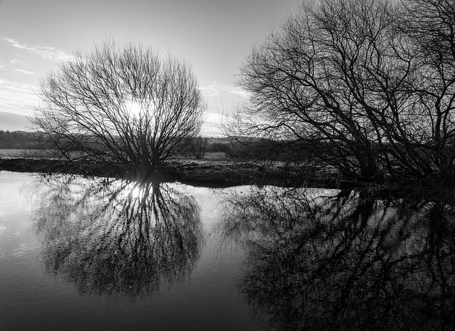 Sun through trees. River Calser, Lochwinnoch, Renfrewshire, Scotland, UK B&W