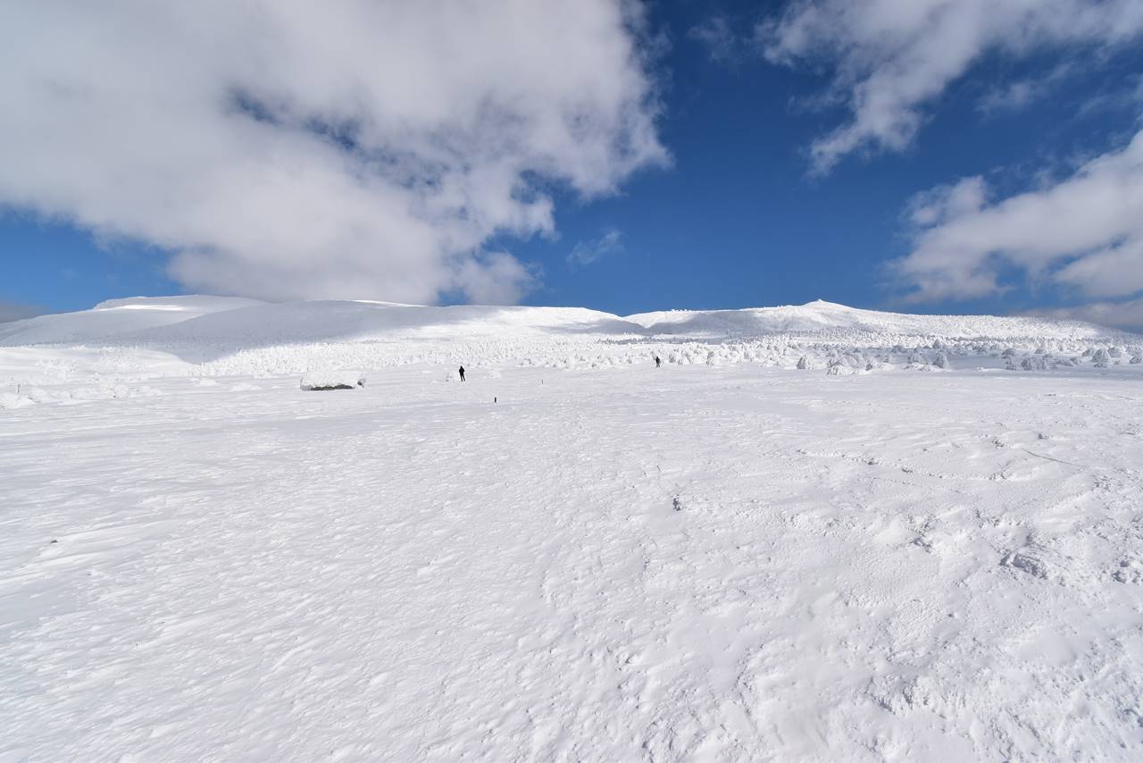 冬の蔵王　樹氷・スノーモンスター雪山登山 広大な雪原