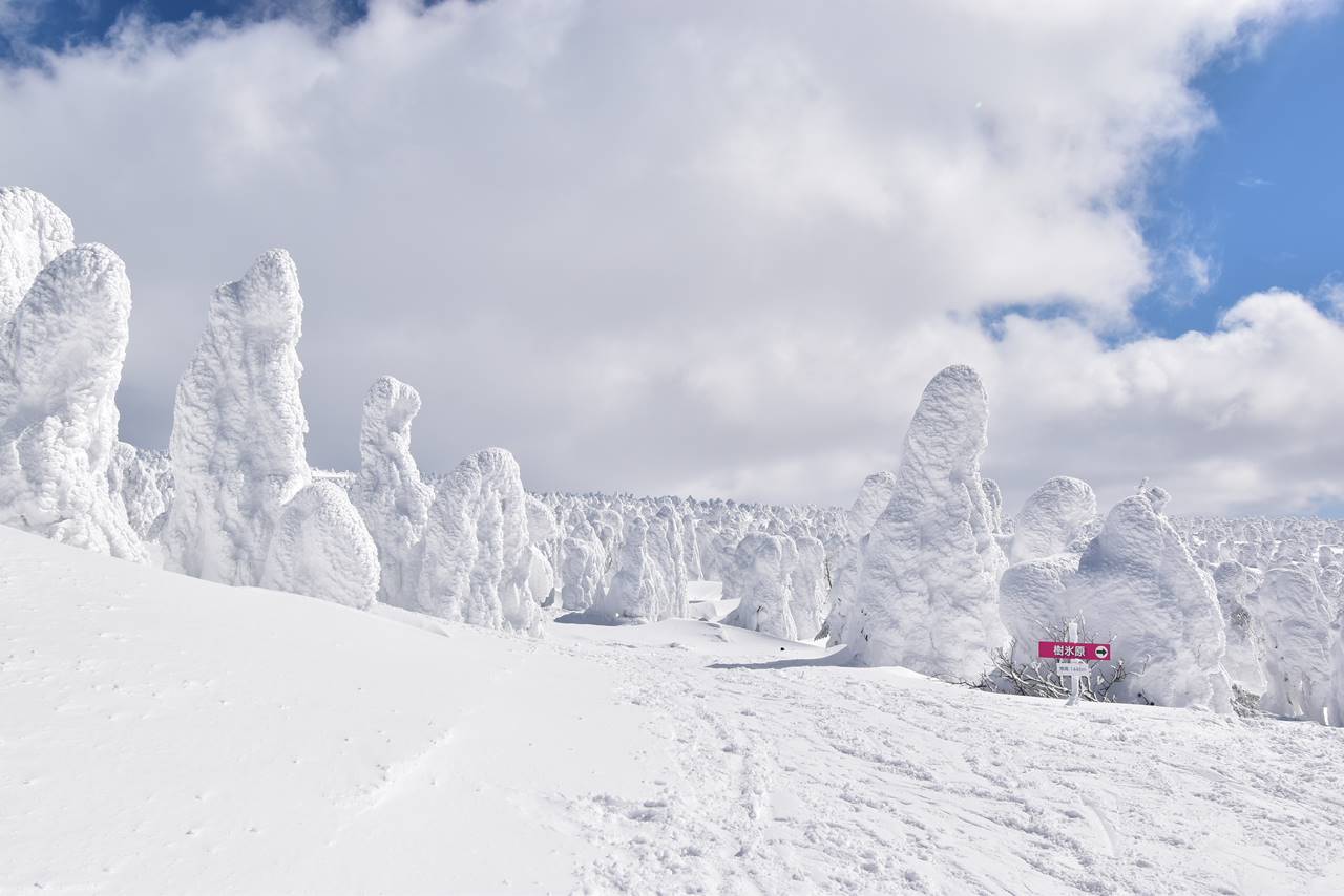 冬の蔵王　樹氷・スノーモンスター雪山登山