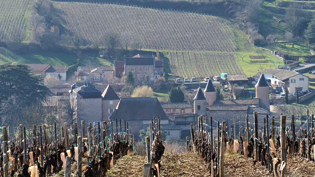Chasselas and its castle