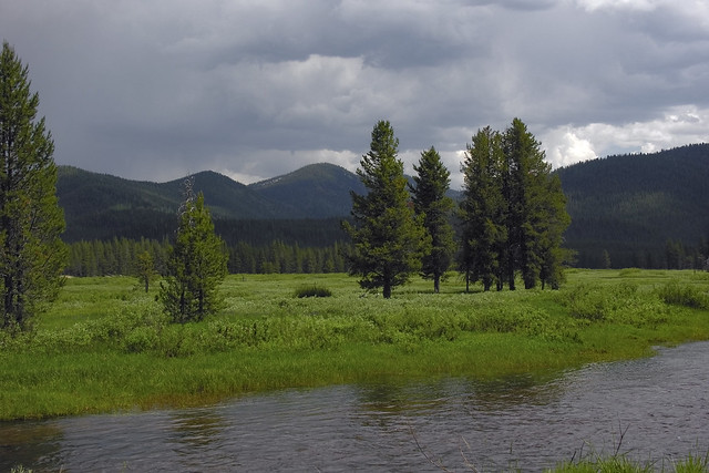 Meadow at confluence of Elk Creek and Bear Valley Creek.
