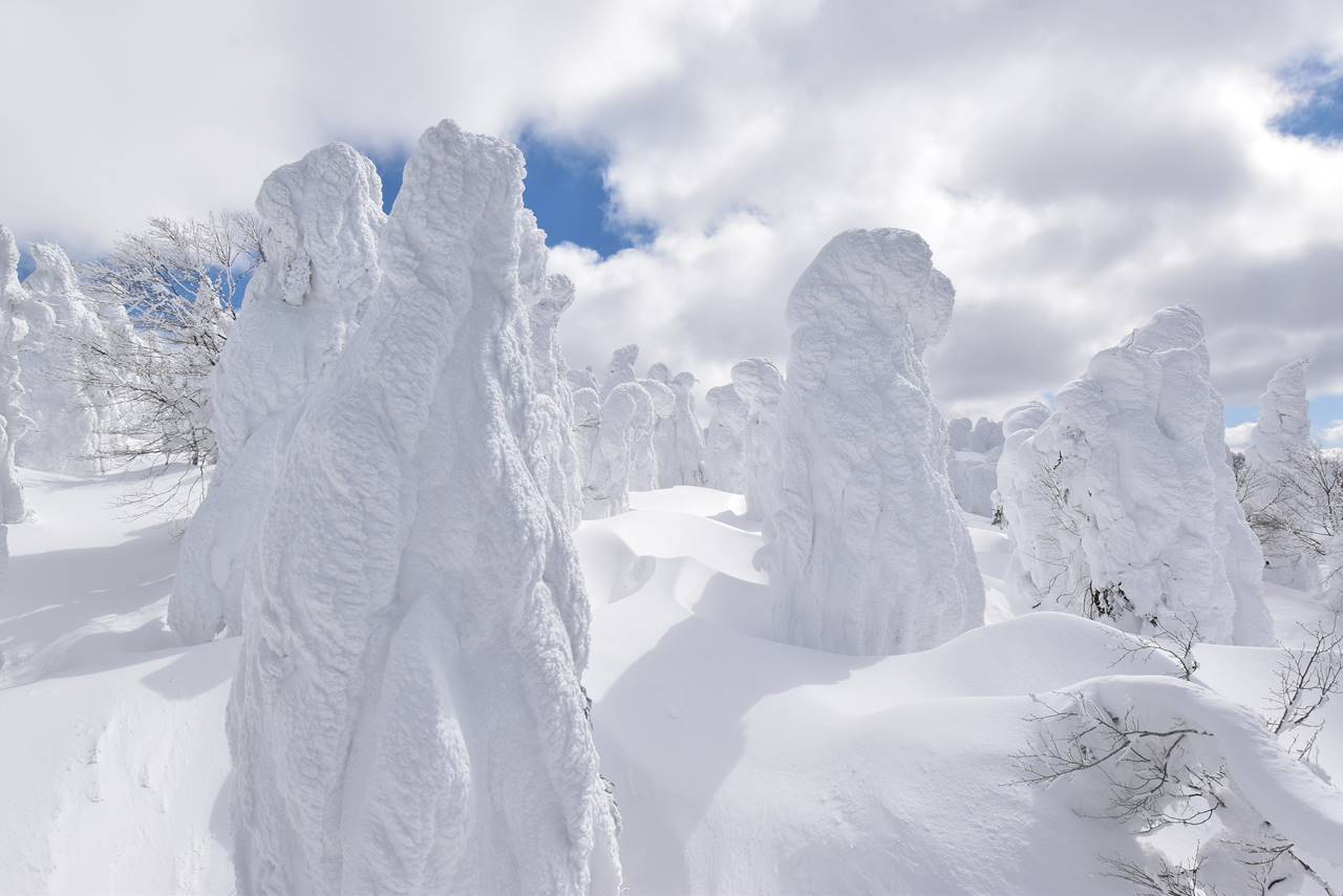 蔵王ライザワールドスキー場から眺める樹氷・スノーモンスター