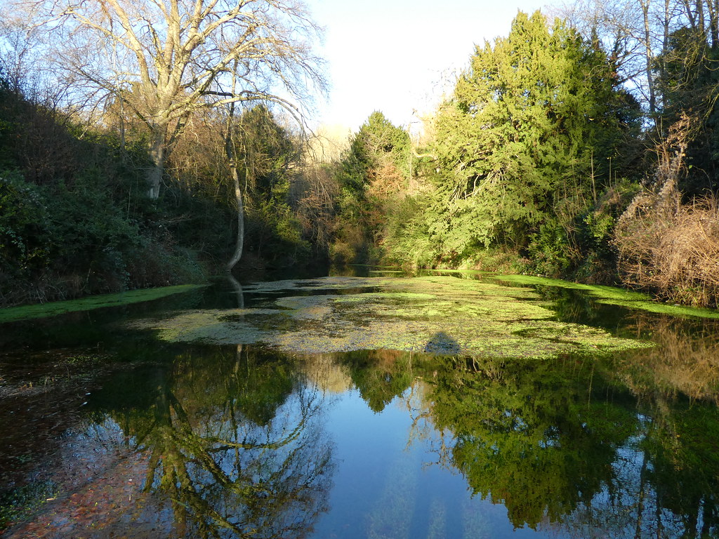 The Silent Pool, ALbury, Surrey