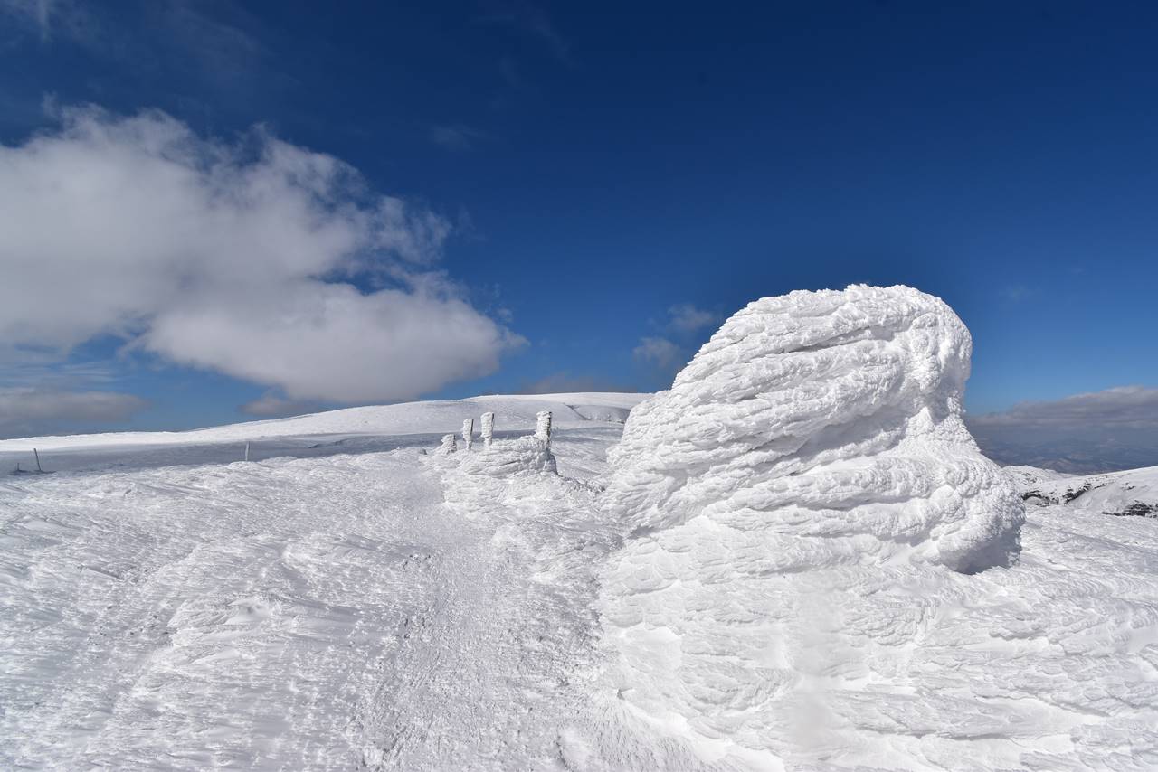 冬の蔵王　樹氷・スノーモンスター雪山登山　巨大なエビのしっぽ