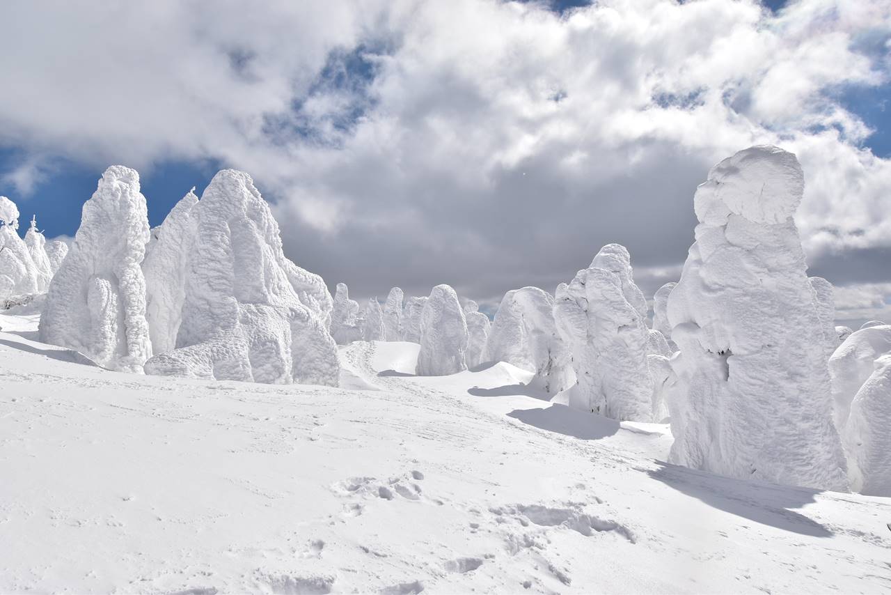 冬の蔵王　樹氷・スノーモンスター雪山登山