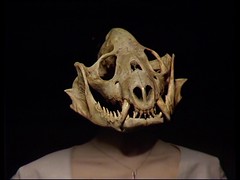 2e Skull Tegan
