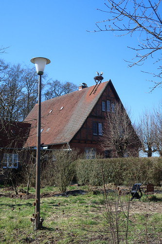 Störche auf dem Bauernhof-Café "Heidekrug" in den Rieselfeldern Münsters