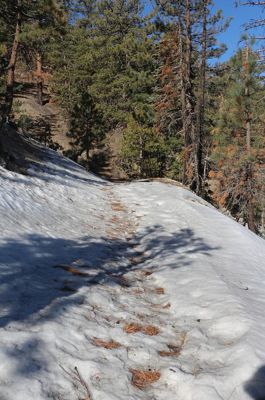 For a closed area, there sure were a lot of footprints in the snow on the PCT near Cloudburst Summit!