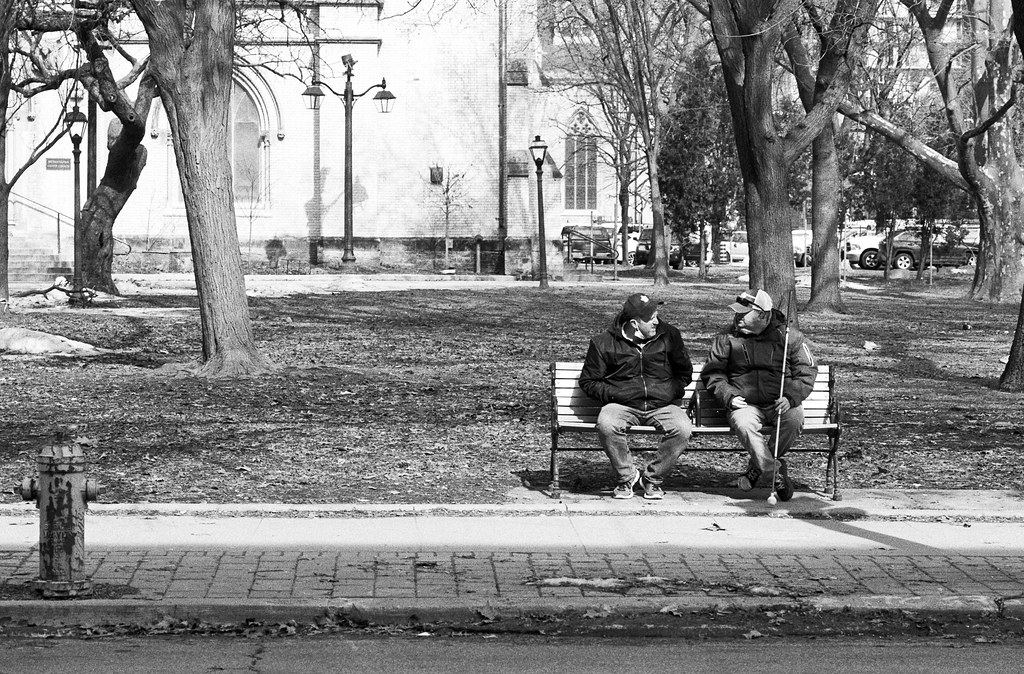 Friends on a Bench