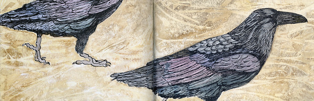 watercolour, acrylic & pen sketch of a raven