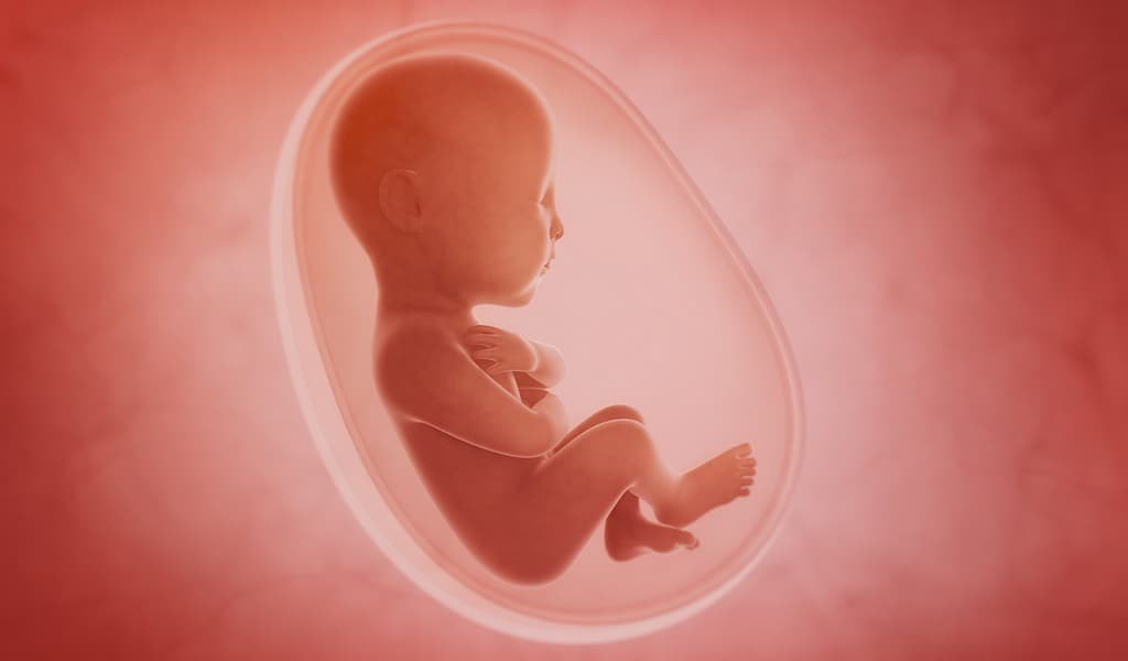 exposition-prénatale-au-bisphénol-A-associée-à-un-risque-accru-asthme-chez-les-filles
