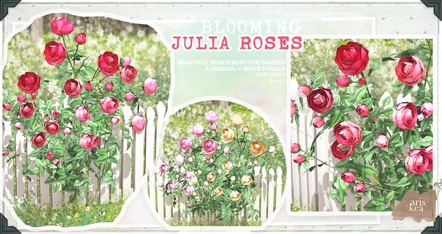 Bloom . Julia Roses . Ariskea