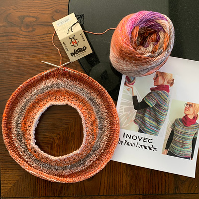 I cast on Inovec by Karin Fernandes using Noro Enka for my next project!
