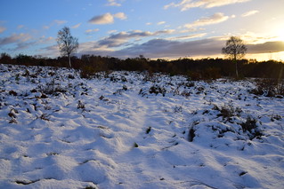 21CAN074 Snow on Shoal Hill Common
