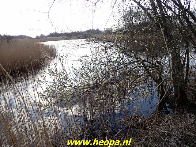 2022-03-18 Mooi stukje natuur Almere-Haven (19)