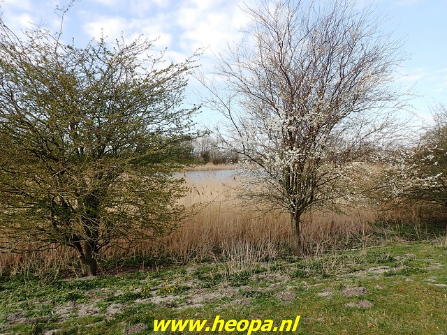 2022-03-18 Mooi stukje natuur Almere-Haven (29)