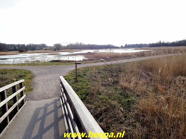 2022-03-18 Mooi stukje natuur Almere-Haven (20)