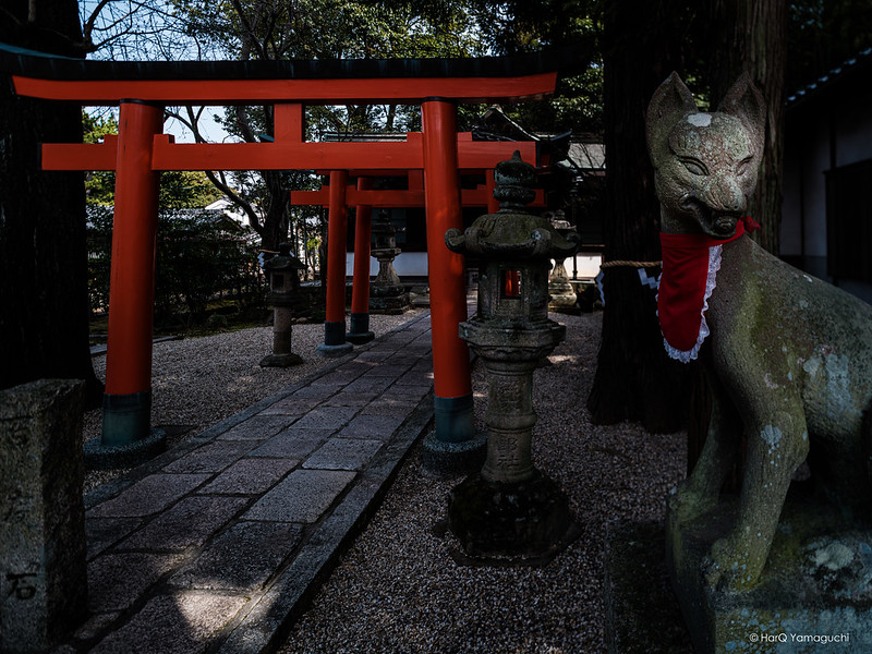 The guardian foxes at the shrine ( Nara, JAPAN )
