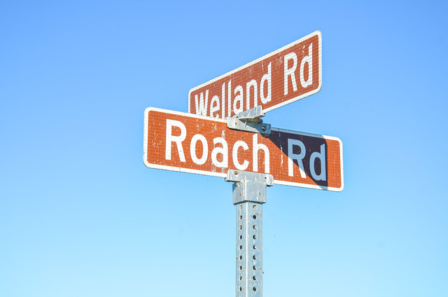 Welland & Roach