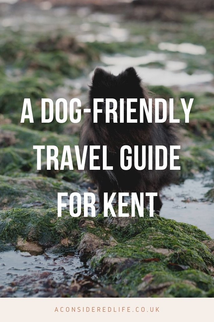 A Dog-Friendly Guide To The Kent Coast