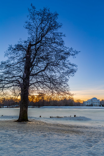 tree snow ice sky evening sunset dawn building park wood trees view outdoor silhouette coast