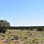 Arizona Sage Country - 2 