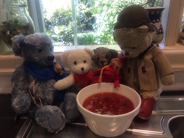 Paddington, Scout and the Bowl of “Blood”