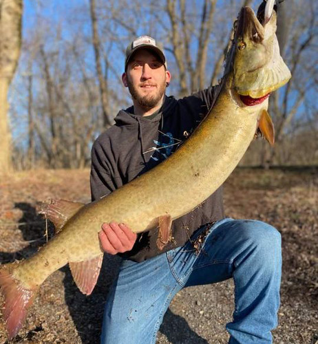 Photo of man holding large muskellunge