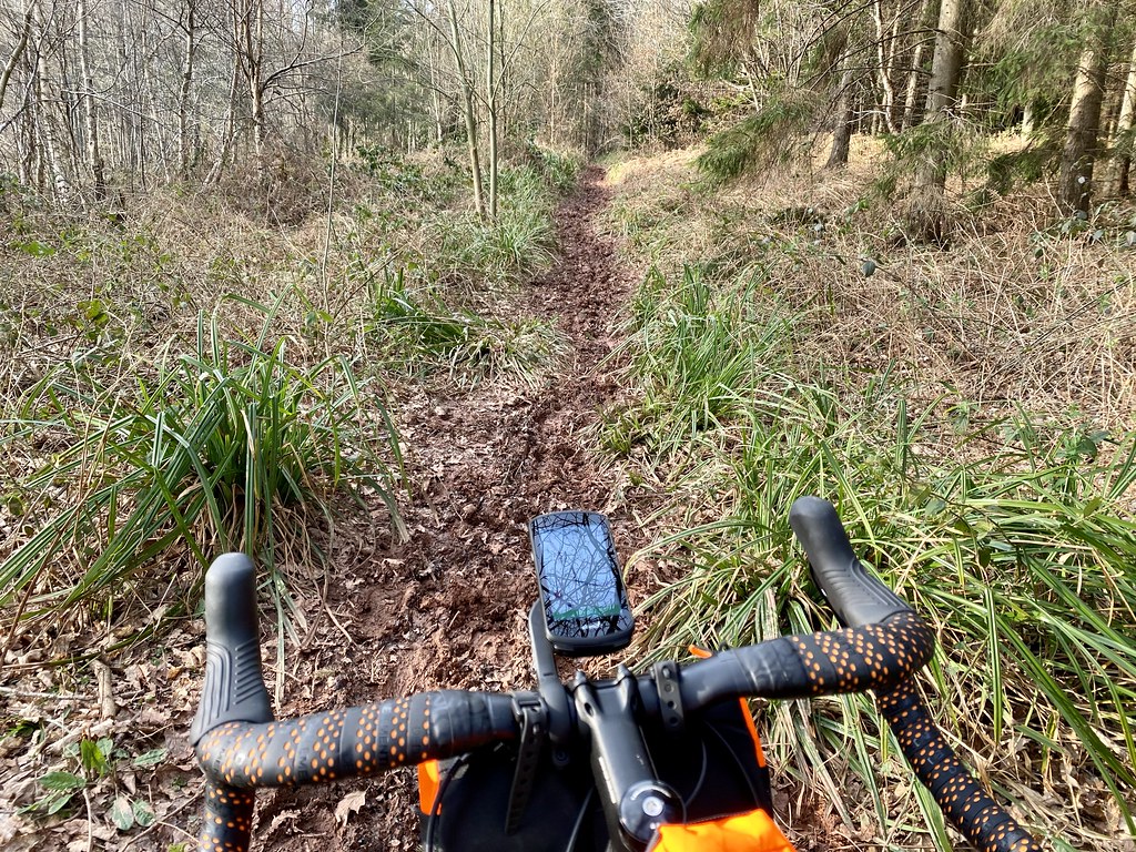 Came for the daffs, stayed for the mud!