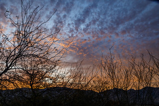 Tucson Sunrise