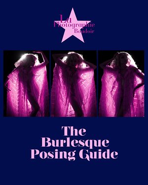 Poing Guide cover