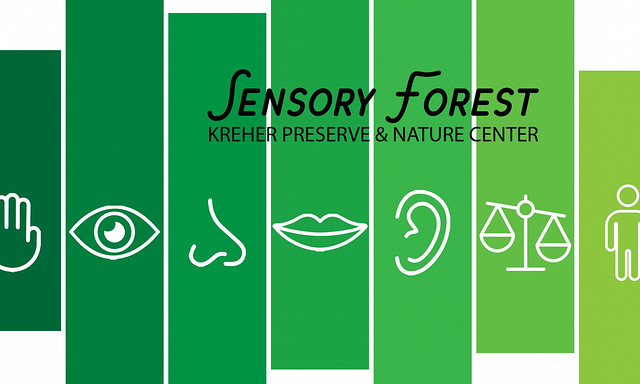 Graphic stating Sensory Forest.