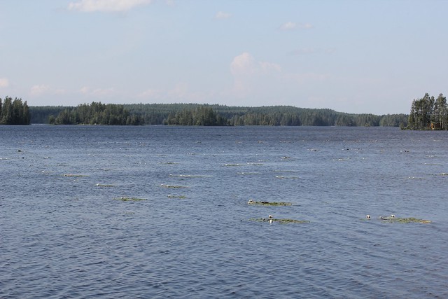 Central Finland view 63