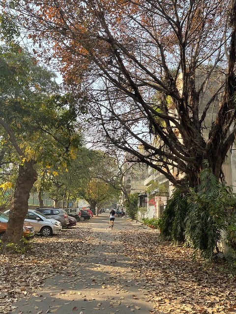 City Season - Leaf Fall, Around Town