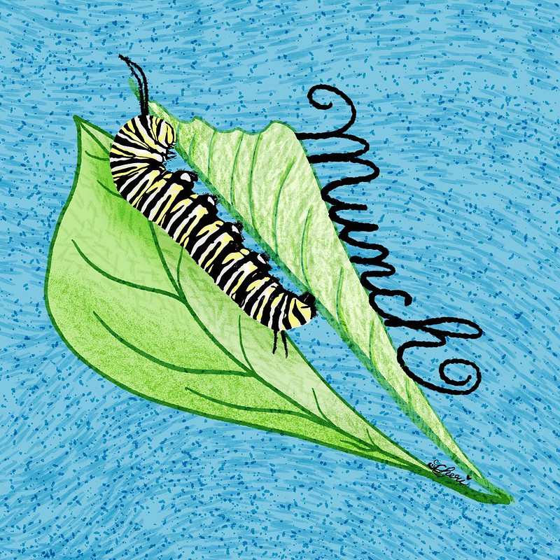 MAEMarD2222_caterpillar