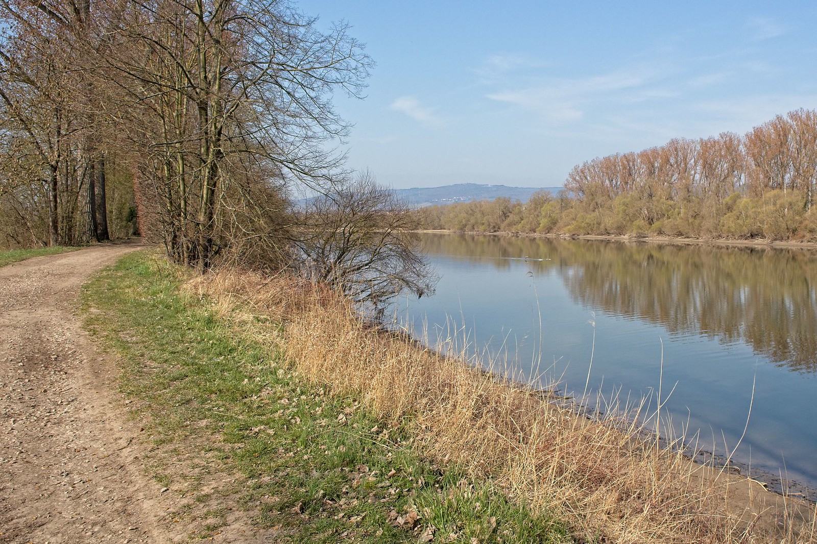 Am Rhein in der Nonnenaue