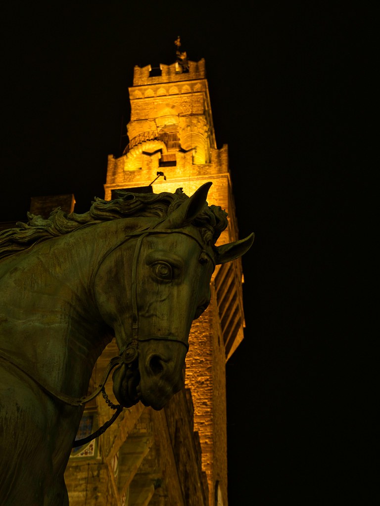FIRENZE - Palazzo Vecchio con cavallo. Explore March 24, 2022