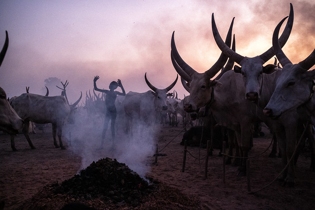 Mundari cattle camp, north of Juba