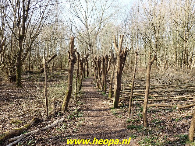 2022-03-23          Almere    voet       & fietsbrug  Waterlandseweg  (97)