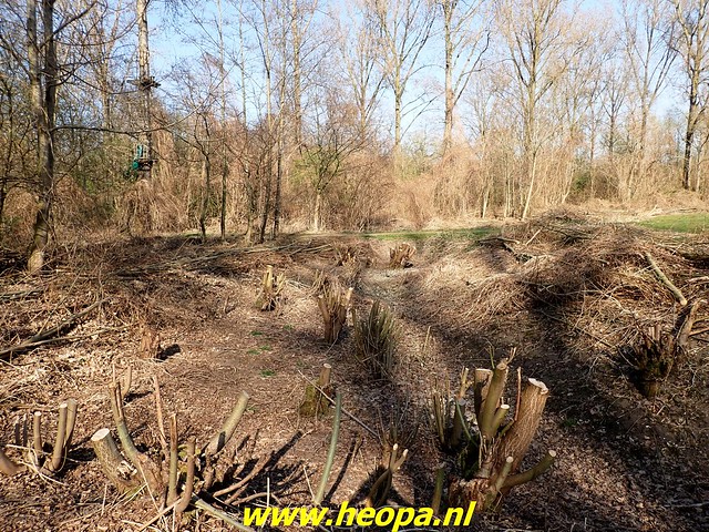 2022-03-23          Almere    voet       & fietsbrug  Waterlandseweg  (93)