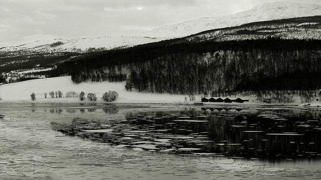 Malangen fjord