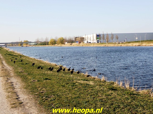 2022-03-23          Almere    voet       & fietsbrug  Waterlandseweg  (103)