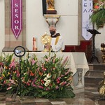 Festividad de San José Basílica de San José y Nuestra Señora del Sagrado Corazón México, Marzo 19 de 2022 3.