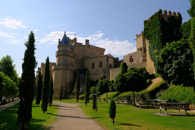 XE3F9110 - Castillo de Olite - Castle of Olite (Navarra)
